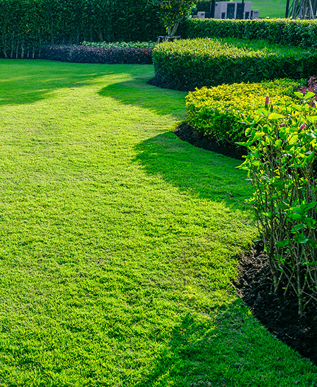 Lawns & Raised Beds